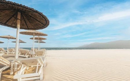 The House Of Abinandan Lodha Imperial Goa