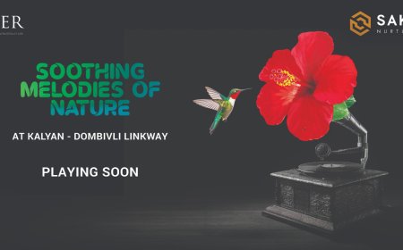 Saket Oyster Kalyan | Coming Soon