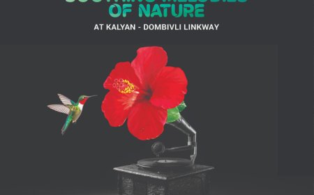 Saket Oyster Kalyan West