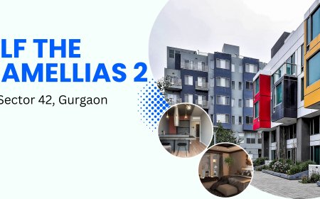 Luxury Living at DLF The Camellias 2, Gurgaon
