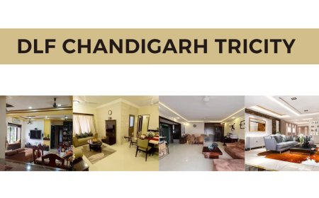 DLF Chandigarh Tricity: The Ultimate Guide to Luxurious Living