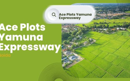 Ace Plots Yamuna Expressway: Indulge in Splendid Opulence