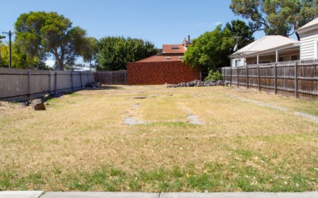 Cent to Bigha Converter Your Reliable Land Measurement Guide