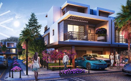 Violet Damac Hills 2