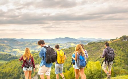 Top Kerala Tour Packages for Families: Up to 50% Off – Limited Time Offer!!