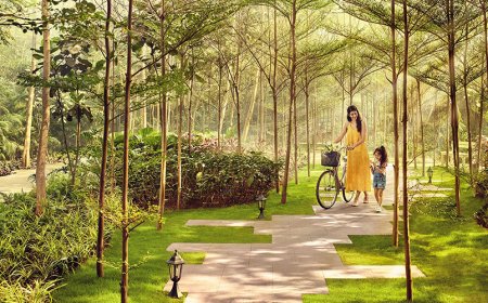 Century Liva Yelahanka: Your Dream Home in Bangalore