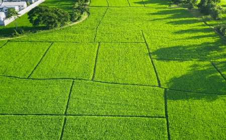 Gurgaon's Best Real Estate – Godrej Plots Sector 39 Available Now