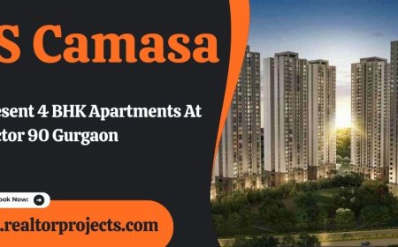 SS Camasa - Your Destination For Style And Sophistication