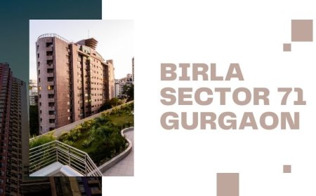 Birla Sector 71 Gurgaon | Best Residential Property