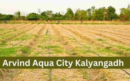 Plots & Villas at Arvind Aqua City | Kalyangadh, Ahmedabad