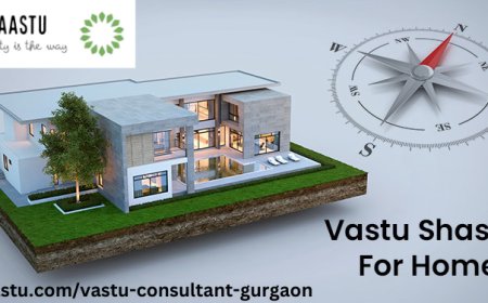 best vastu consultant in gurgaon