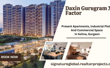 Daxin Gurugram X Factor Gurugram - Find Your Perfect Fit
