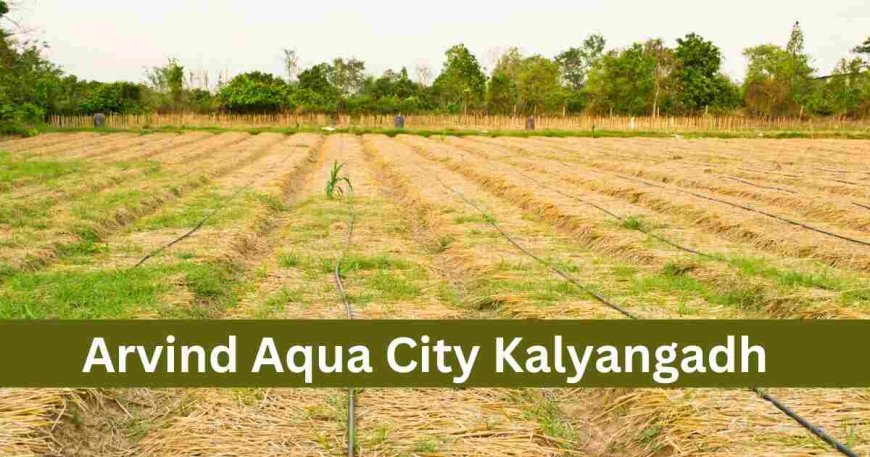 Plots & Villas at Arvind Aqua City | Kalyangadh, Ahmedabad