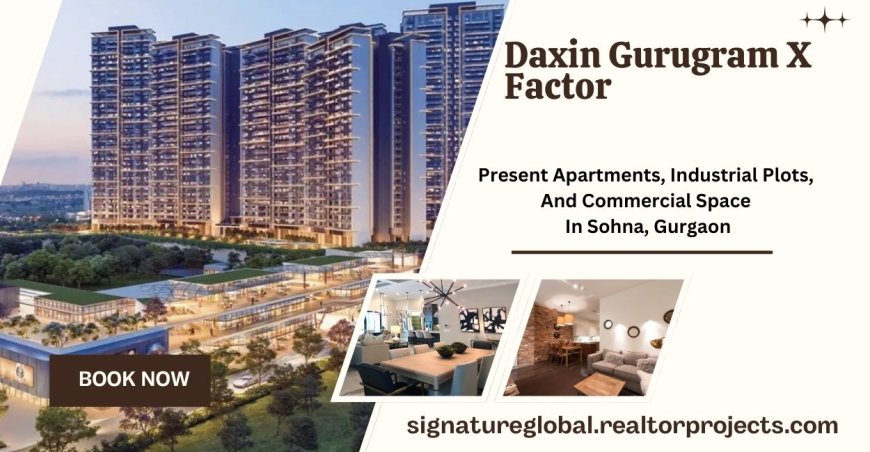 Daxin Gurugram X Factor Gurugram - Find Your Perfect Fit