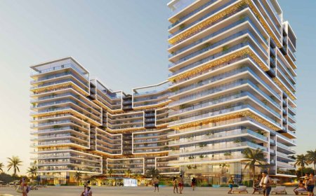 Shoreline Damac 2024