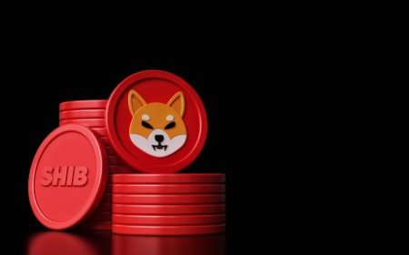Shiba Inu Coin News Today