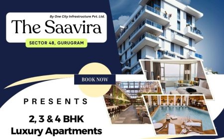 The Saavira Sector 48 Gurgaon - Sink Between Modern & Healthy Life!