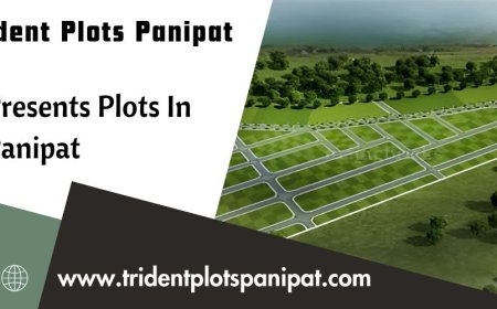 Trident Plots In Haryana - Your Foundation For A Bright Tomorrow
