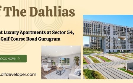 Dlf The Dahlias - Where Community Meets Comfort