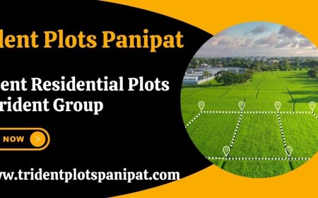 Trident Plots Panipat |  The ideal space to balance life, work and play.