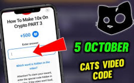 How to Make 10x on Crypto Cats Code