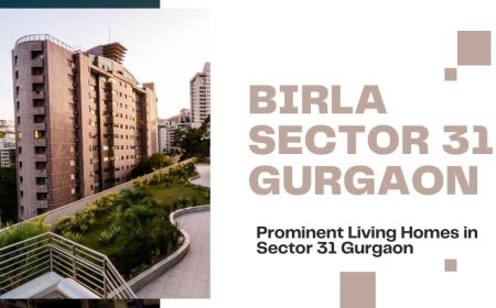 Birla Sector 31 Gurgaon | The Luxury Homes For Living