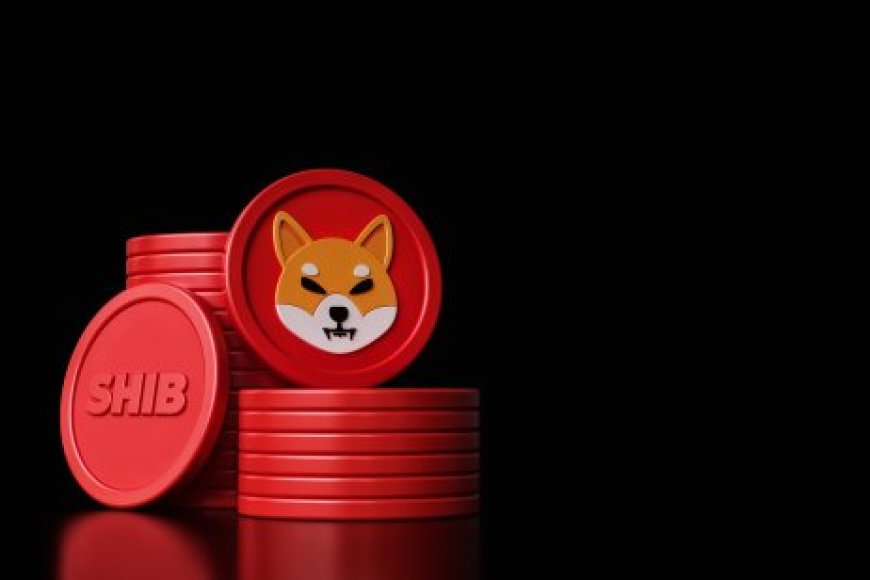 Shiba Inu Coin News Today