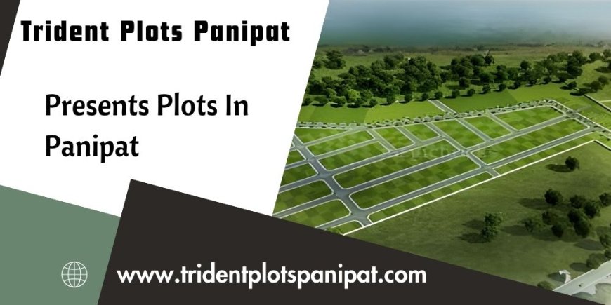 Trident Plots In Haryana - Your Foundation For A Bright Tomorrow