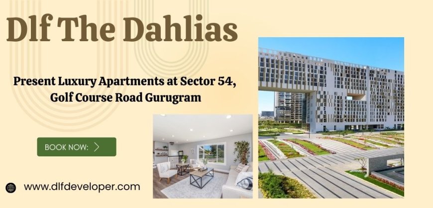 Dlf The Dahlias - Where Community Meets Comfort