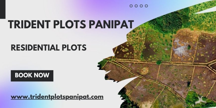 Trident Plots Panipat: A New Era Of Luxury Living