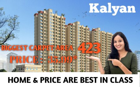 New Construction Property Project In Kalyan The Livin Kalyan West
