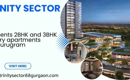 Trinity Apartments In Sector 88 Gurgaon - Elevated Living At Its Finest