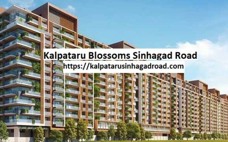 Prime Apartments at Kalpataru Blossoms, Sinhagad Road Pune – Perfect for Families