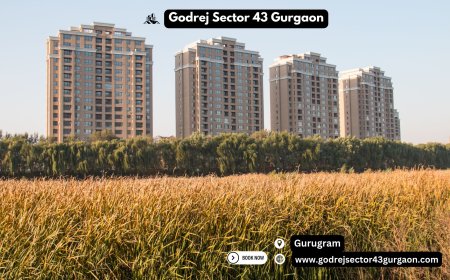 Godrej Sector 43 Gurgaon: A New Benchmark in Premium Living