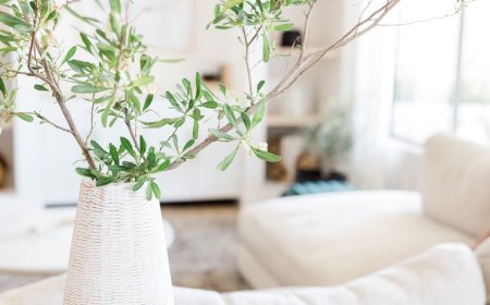 Modern Spaaces Ivy County | Your Dream Home Awaits in Bangalore