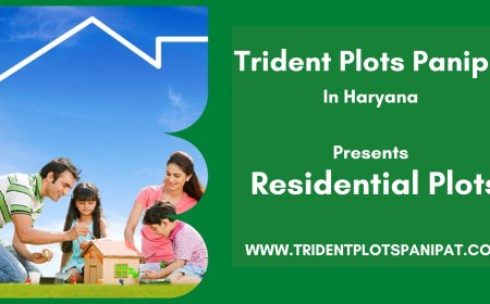 Trident Plots Panipat: A Gateway to Premium Living
