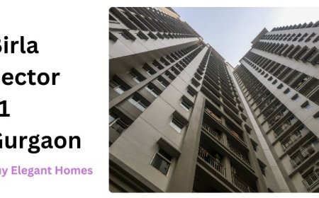 Birla Sector 71 Gurgaon | Buy Elegant Homes