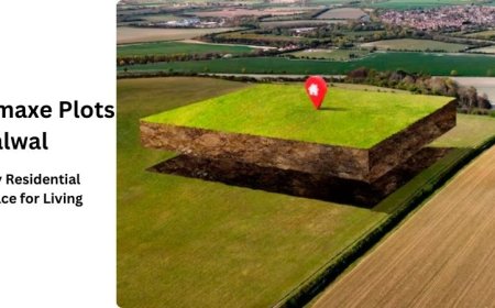 Omaxe Plots Palwal |Buy Residential Space for Living