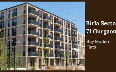Birla Sector 71 Gurgaon | Buy Modern Flats
