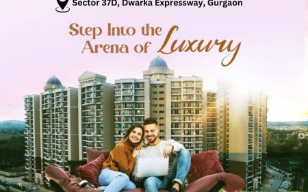 MVN Aero One Sector 37D Gurugram - Your Ultimate Relaxation Destination