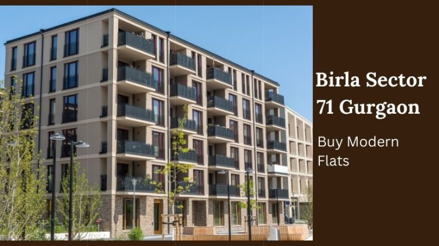 Birla Sector 71 Gurgaon | Buy Modern Flats