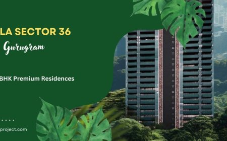 Birla Sector 36, Gurugram - Elevate Your Lifestyle