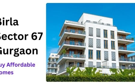 Birla Sector 67 Gurgaon | Buy Affordable Homes