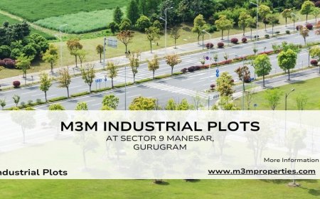 M3M Industrial Plots Manesar Gurgaon: Exceptional Connectivity And Amenities