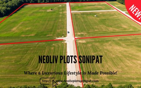 NeoLiv Plots Sonipat: The Next Real Estate Hotspot