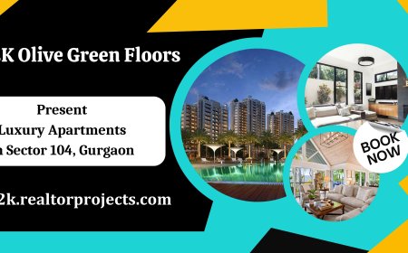 M2K Olive Green Floors Sector 104 Gurgaon - Live The Extraordinary