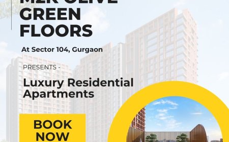 M2K Olive Green Floors -  Grand Dreams Grandeur Spaces In Sector 104 Gurgaon