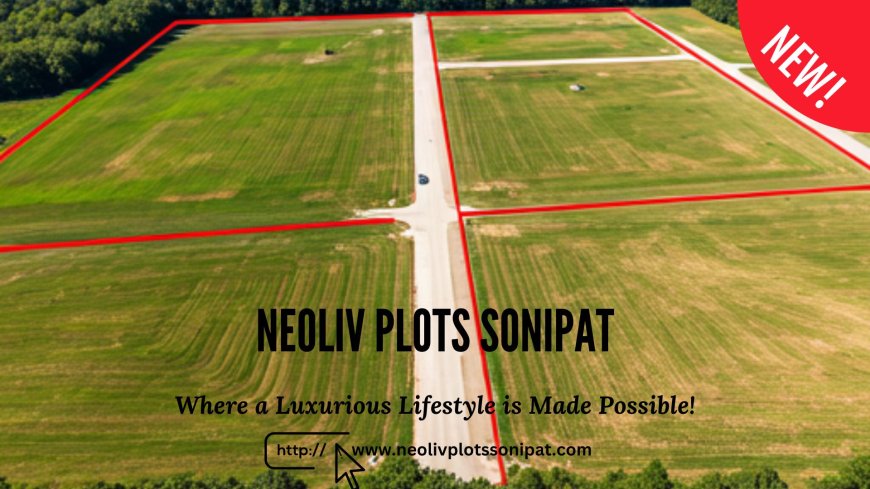 NeoLiv Plots Sonipat: The Next Real Estate Hotspot