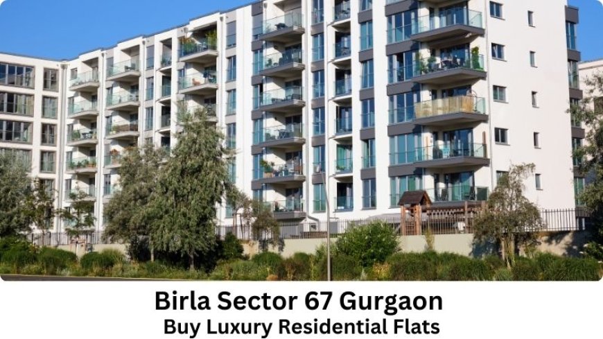 Birla Sector 67 Gurgaon | Buy Luxury Residential Flats