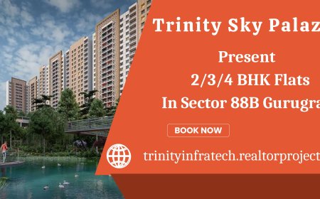 Trinity Sky Palazzos Gurgaon - A New Standard In Apartment Living